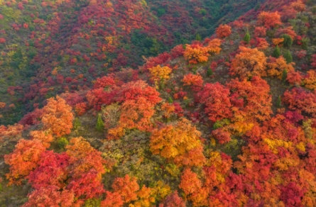 》爆火 跟着悟空、唐僧在洛也能西游PP电子网站国产游戏《黑神话：悟空